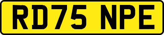 RD75NPE