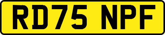 RD75NPF