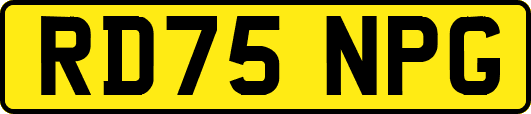 RD75NPG