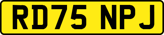 RD75NPJ