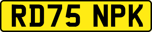 RD75NPK