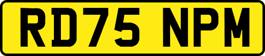 RD75NPM