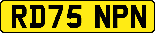 RD75NPN
