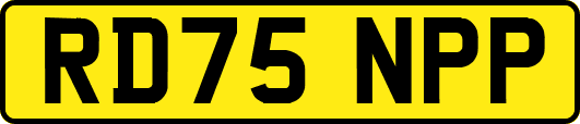 RD75NPP