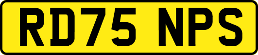 RD75NPS