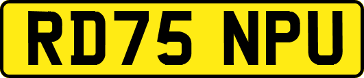 RD75NPU