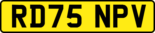 RD75NPV
