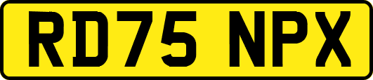 RD75NPX