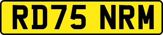 RD75NRM