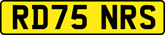 RD75NRS