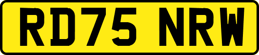 RD75NRW