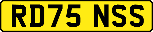 RD75NSS