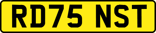 RD75NST