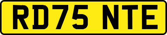 RD75NTE