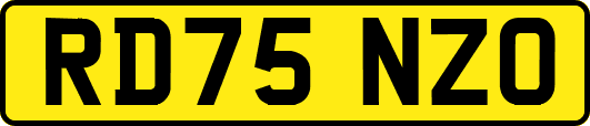 RD75NZO