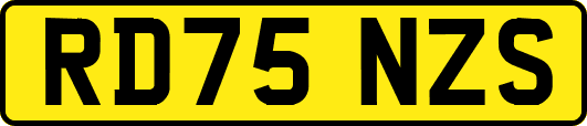 RD75NZS