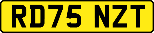 RD75NZT
