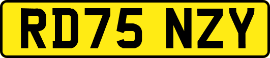 RD75NZY