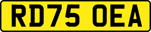 RD75OEA