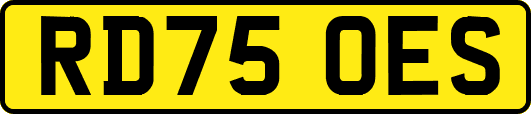 RD75OES