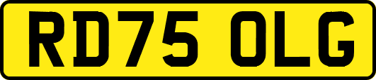 RD75OLG