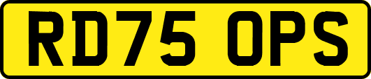 RD75OPS