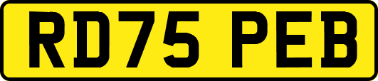 RD75PEB