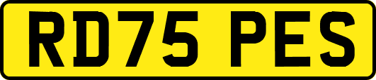 RD75PES