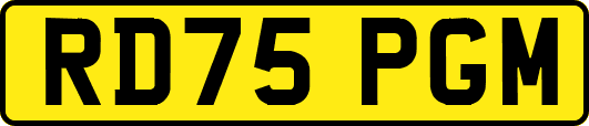 RD75PGM