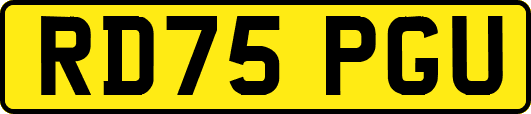 RD75PGU