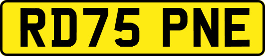 RD75PNE