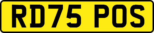 RD75POS