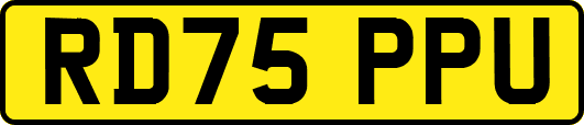 RD75PPU