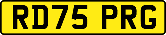 RD75PRG