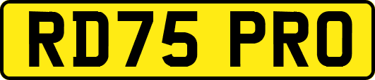 RD75PRO