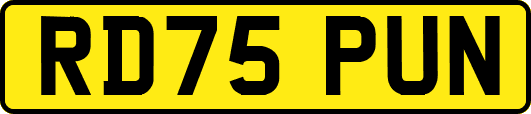 RD75PUN
