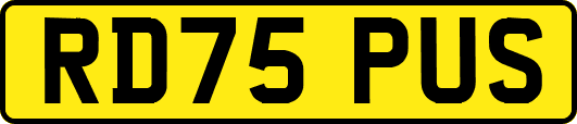 RD75PUS