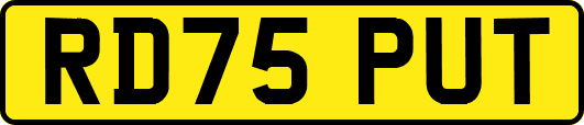 RD75PUT