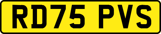 RD75PVS