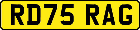 RD75RAG