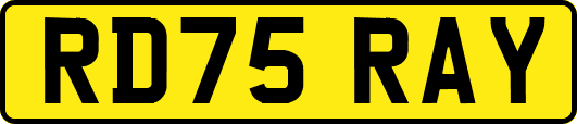 RD75RAY