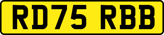 RD75RBB