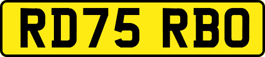 RD75RBO