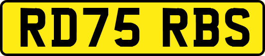 RD75RBS