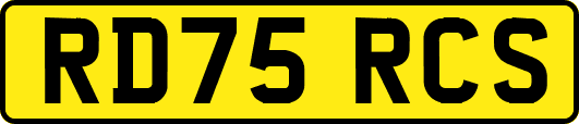 RD75RCS