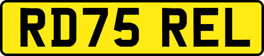 RD75REL