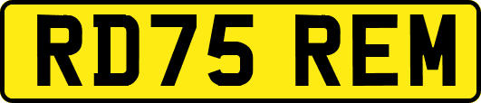 RD75REM