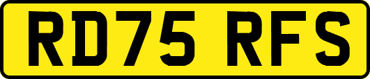 RD75RFS