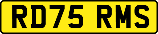 RD75RMS