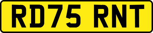 RD75RNT